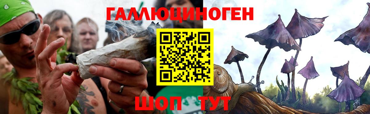 Клин  Псилоцибиновые грибы Cubensis  Вход с VPN  Псилоцибиновые грибы Cubensis 